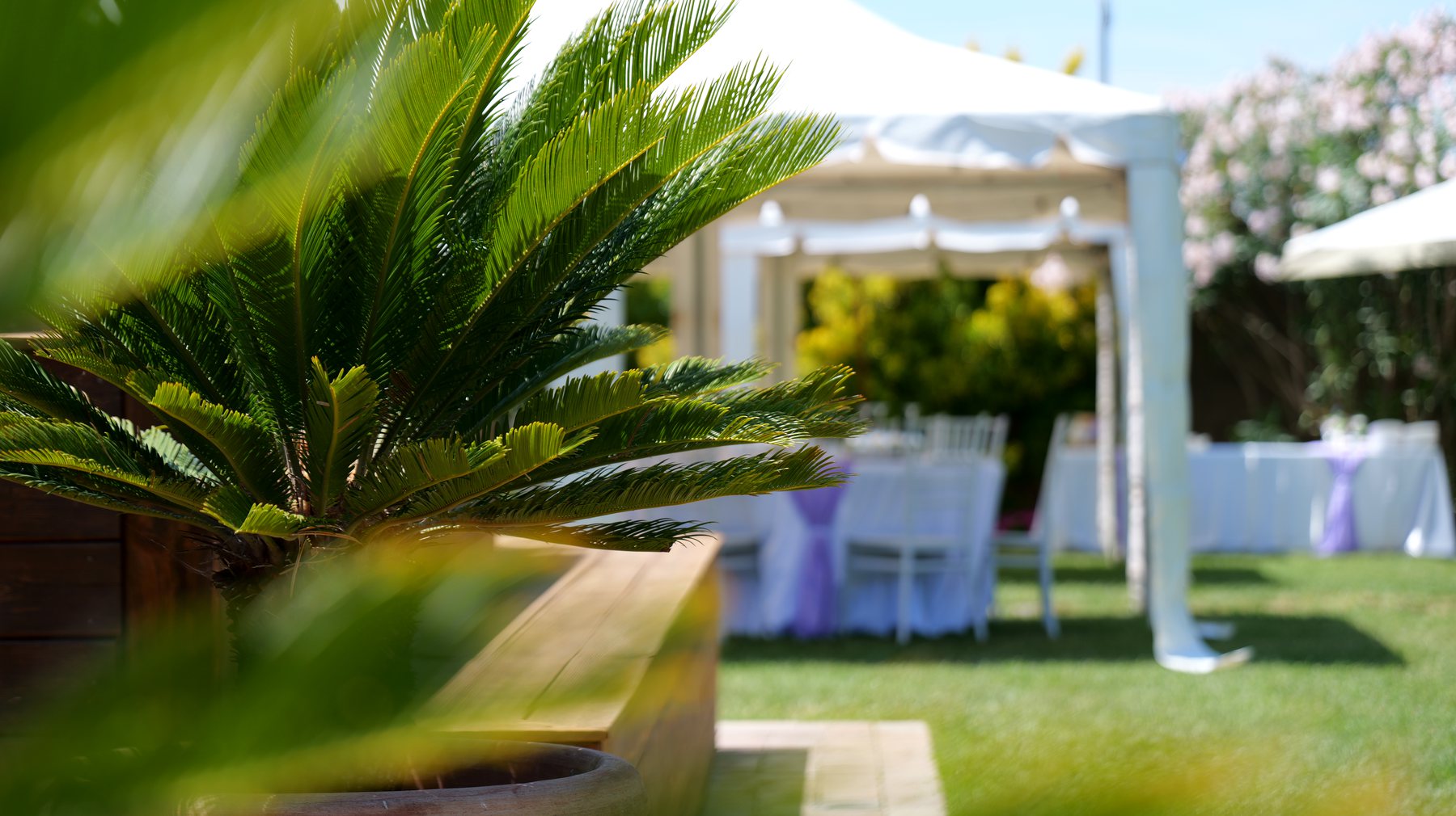 Gazebo allestiti in giardino